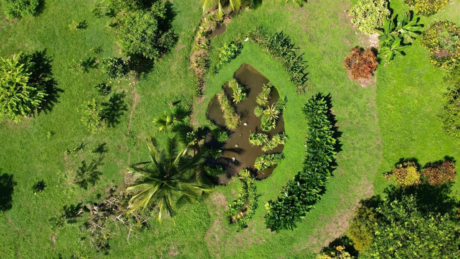 Eden Corcovado Villa San Pedrillo Bagian luar foto
