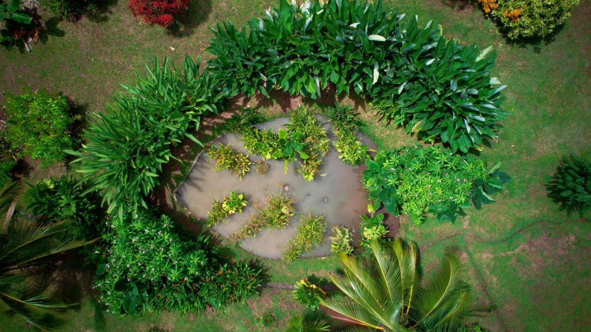 Eden Corcovado Villa San Pedrillo Bagian luar foto